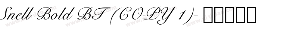 Snell Bold BT (COPY 1)字体转换